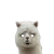 [yipes]al
